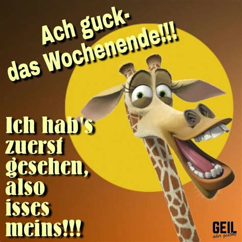 lustige bilder zum wochenende